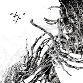 the album cover for Negura Bunget - Virstele Pamintului