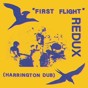 the album cover for Chris Forsyth - First Flight Redux (Harrington Dub)