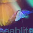 the album cover for Seablite - Breadcrumbs