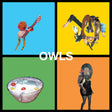 the album cover for Owls - Owls [LP]