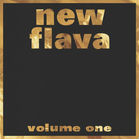 the album cover for New Flava Vol. 1 / Various - New Flava Vol. 1 / Various