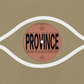the album cover for Bartees Strange / Eric Ohmme  Slick / Anjimile - Province / Ever New