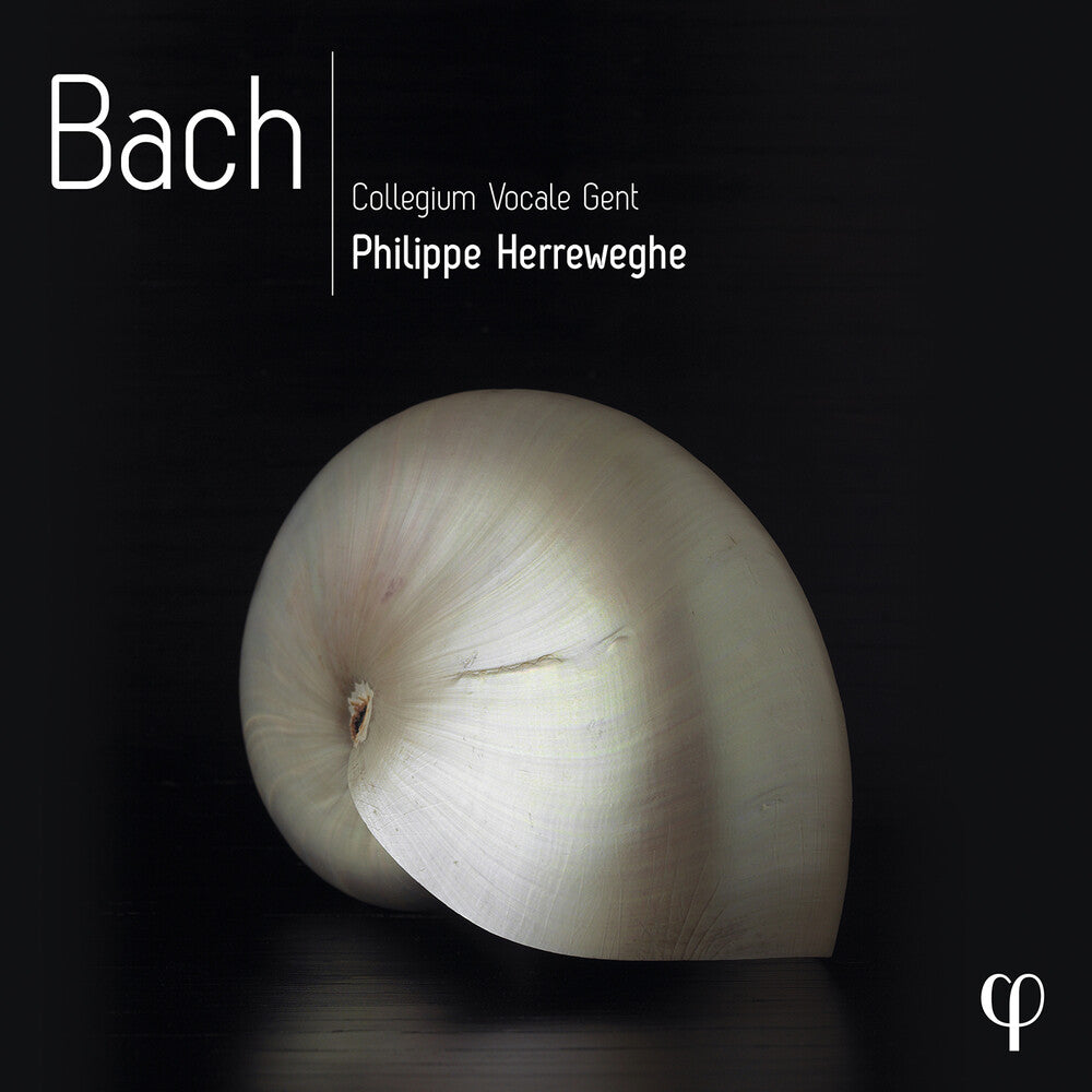 J Bach .S. / Herreweghe / Collegium Vocale Gent - Bach (Box) [CD]
