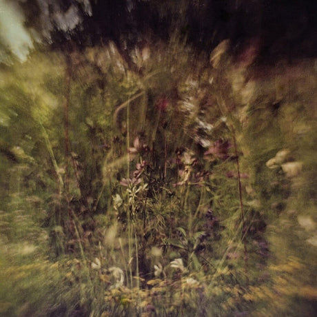 the album cover for Pluralone - Wile B/W Remembered [Purple Vinyl Single]