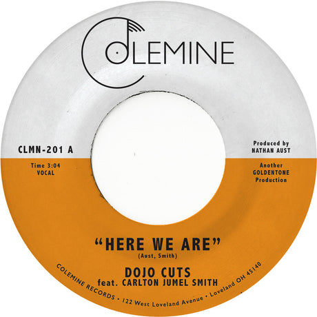 the album cover for Dojo Cuts - Here We Are (Coke Bottle Clear) [Colored Vinyl] [Clear Vinyl]