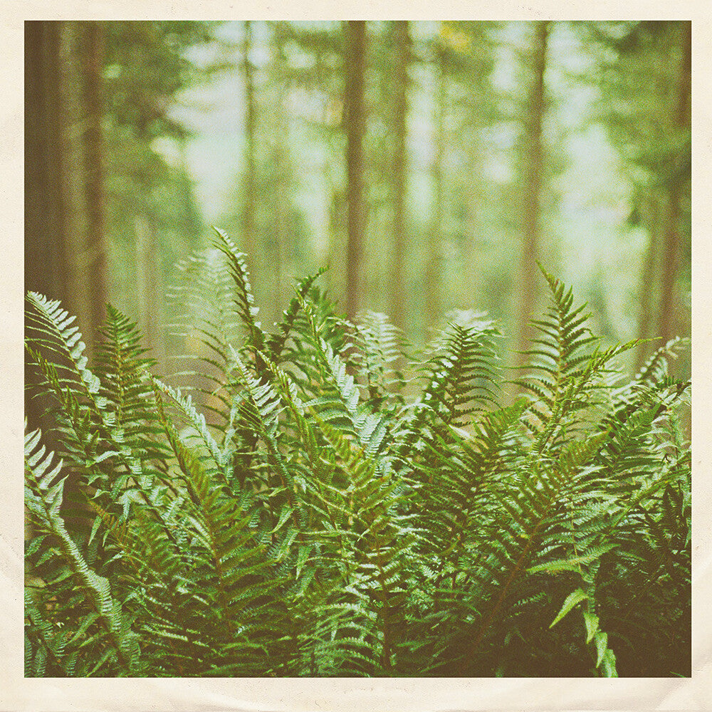 the album cover for Mtbrd - Just Visiting