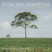 the album cover for New Tangents In Kampala London & Nairobi / Various - New Tangents In Kampala London & Nairobi / Various