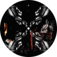 the album cover for Lilly Palmer - We Control