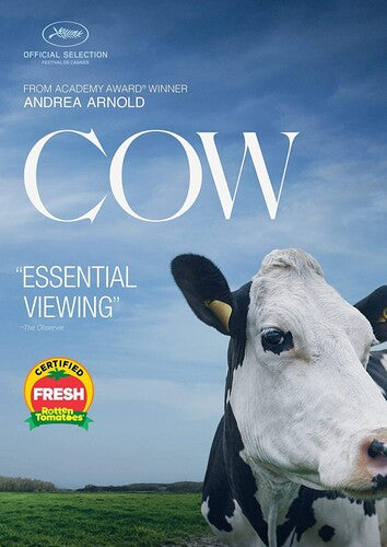 Cow - Cow - DVD
