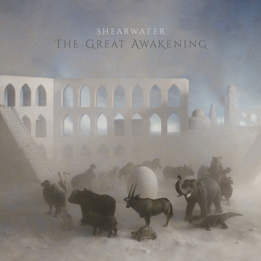 The Great Awakening [2LP]