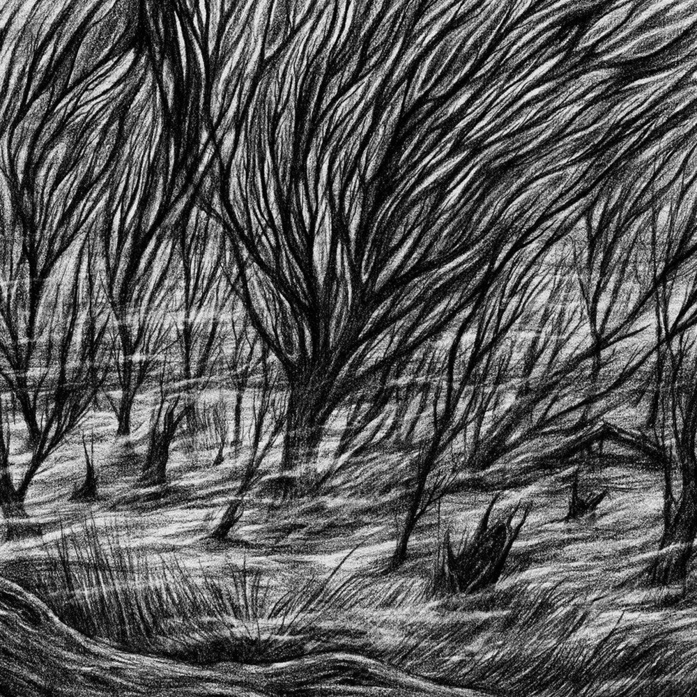 the album cover for Bismuth - The Eternal Marshes