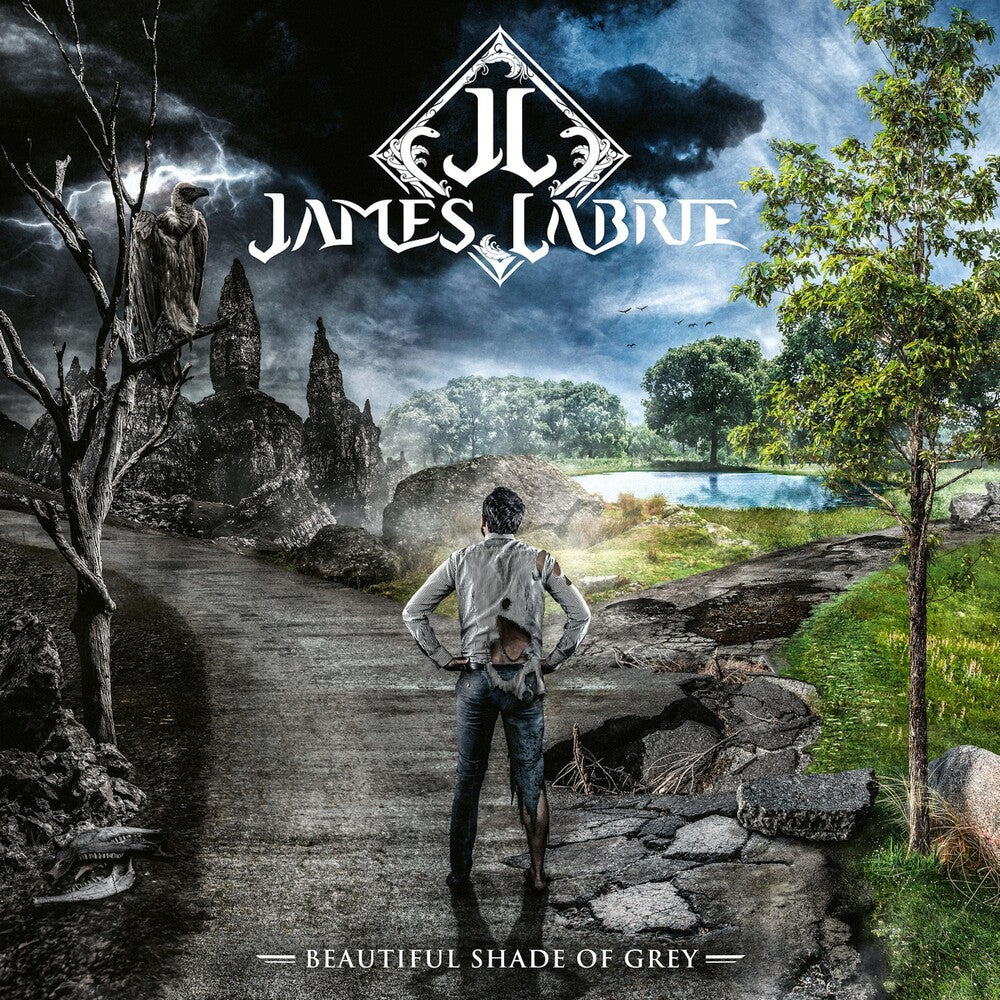 the album cover for James LaBrie - Beautiful Shade Of Grey [LP]