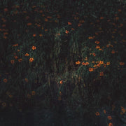 the album cover for Compro Oro - Estarantos