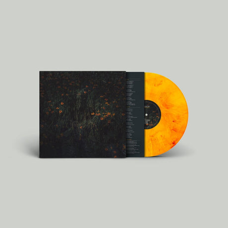 the album cover for Compro Oro - Estarantos [Colored Vinyl] (Spa)
