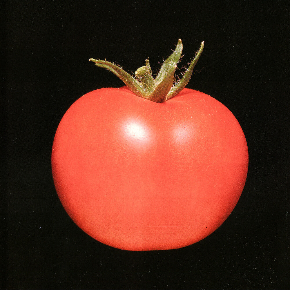 the album cover for Chronophage - Chronophage [LP]