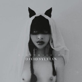 the album cover for David Sylvian - Sleepwalkers (Hol)