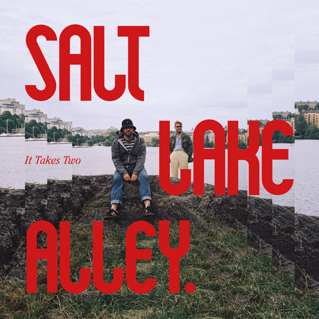the album cover for Salt Lake Alley - It Takes Two