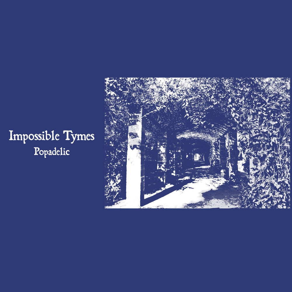 the album cover for Impossible Tymes - Popadelic