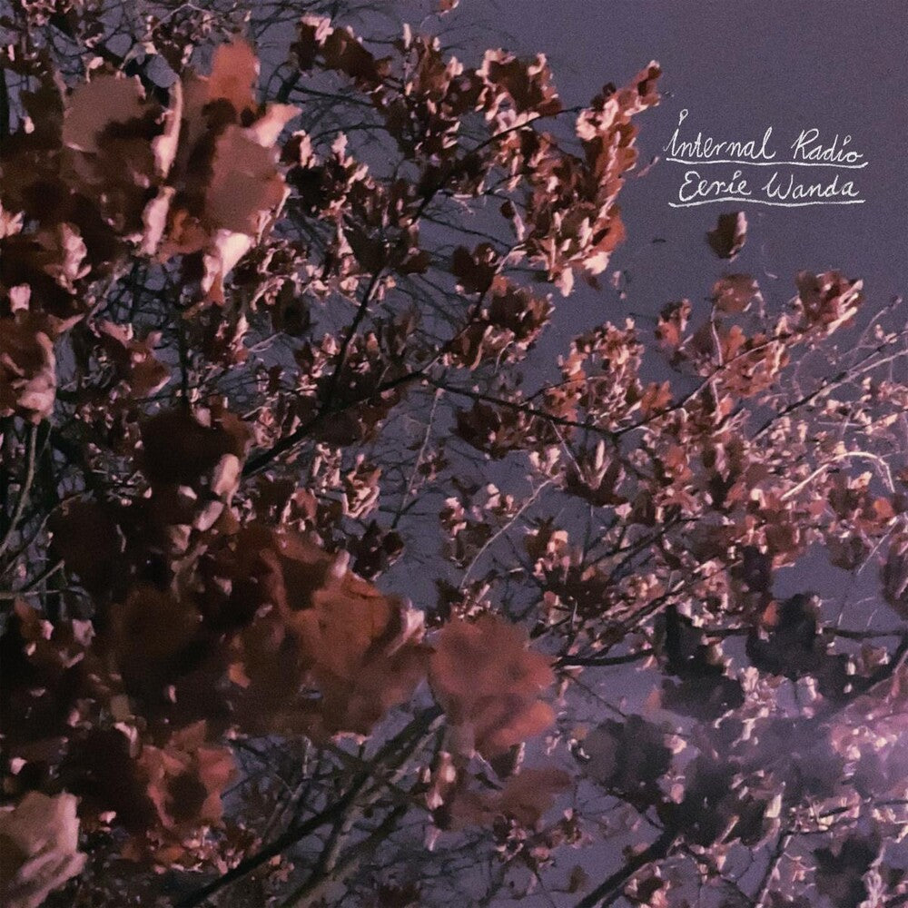 the album cover for Eerie Wanda - Internal Radio [Lavender LP]