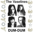 the album cover for Vaselines - Dum Dum [Colored Vinyl] (Uk)