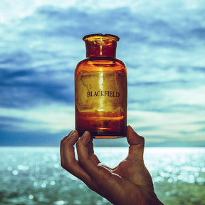 the album cover for Blackfield - Blackfield V