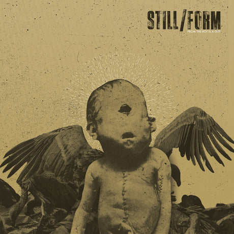 the album cover for Still/Form - From The Rot Is A Gift