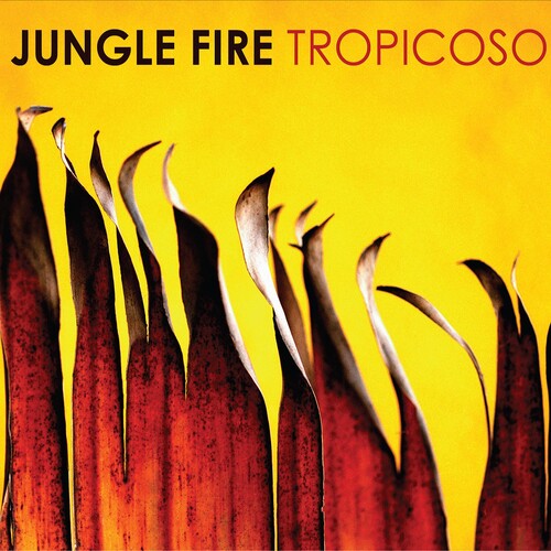 Tropicoso (Vinyl)