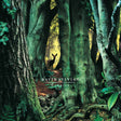 the album cover for David Sylvian - Manafon [2 LP]