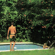 the album cover for Toledo - How It Ends [LP]