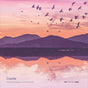 the album cover for COYOTE - Everything Moves Nothing Rests