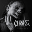 the album cover for Choke - Desiphon