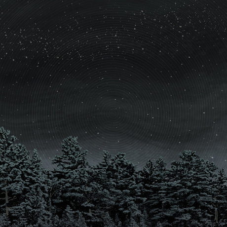 the album cover for Besnard Lakes - Besnard Lakes Are The Prayers For The Death Of