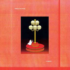 the album cover for Spirit in the Room - Flamingo