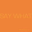 the album cover for Say What - Say What