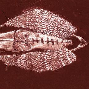 the album cover for Cerberus Shoal - Homb - Rouge [Colored Vinyl]
