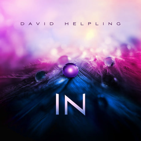 the album cover for David Helpling - In
