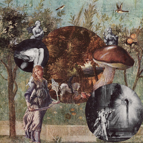 the album cover for Native Harrow - Old Kind Of Magic