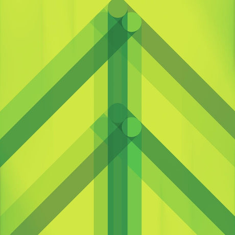 the album cover for El Ten Eleven - Every Direction Is North [Green Glass LP]