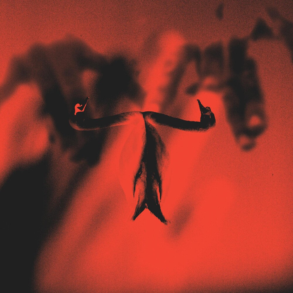 Make Team Presents Maxim Mental In Maximalism [Indie Exclusive Limited Edition Red & Black Marble LP]