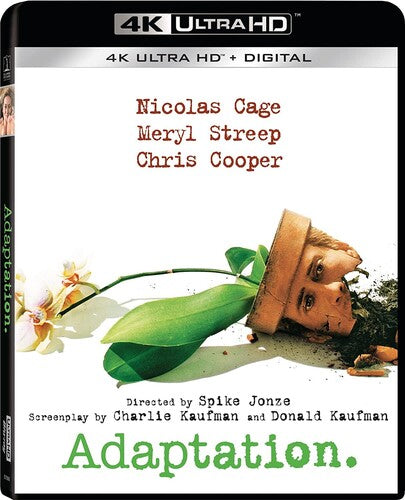 Adaptation - Adaptation - UHD