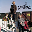 the album cover for Yardbirds - Best Of The Yardbirds (Blue) [Clear Vinyl]