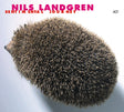 the album cover for Nils Landgren - Sentimental Journey [180 Gram] [Download Included]