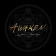 the album cover for Lee Harris & Davor Bozic - Awaken - Gold [Colored Vinyl] (Gol)