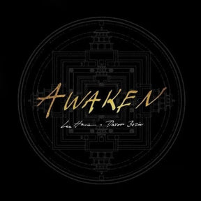 the album cover for Lee Harris & Davor Bozic - Awaken - Gold [Colored Vinyl] (Gol)