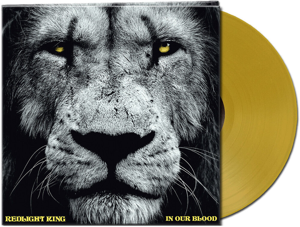 the album cover for Redlight King - In Our Blood [Limited Edition Gold LP]