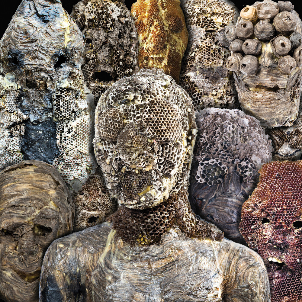 the album cover for Metal Preyers - Shadow Swamps (Can)