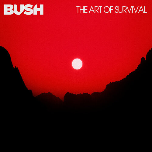 The Art Of Survival (Vinyl)