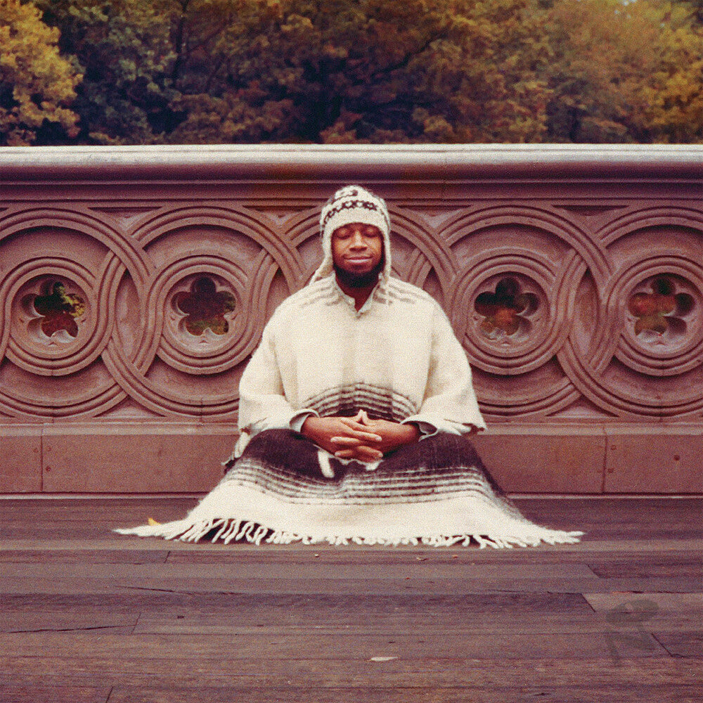 the album cover for Laraaji - Segue To Infinity [With Booklet]