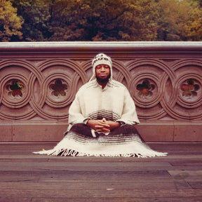the album cover for Laraaji - Segue To Infinity [With Booklet]