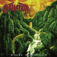 the album cover for Carnation - Where Death Lies (Blk) [Colored Vinyl] [Limited Edition] (Red) (Wht)